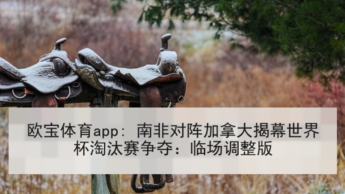 欧宝体育app: 南非对阵加拿大揭幕世界杯淘汰赛争夺：临场调整版