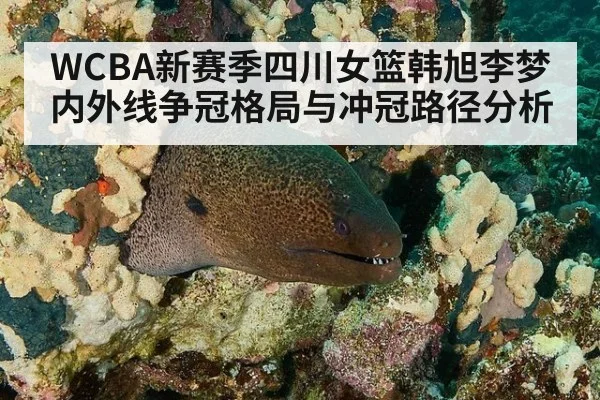 WCBA新赛季四川女篮韩旭李梦内外线争冠格局与冲冠路径分析